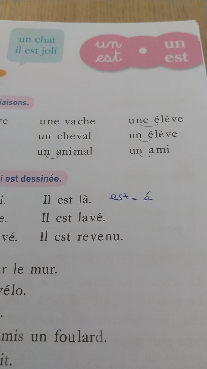 Je lis pas à pas avec Téo et Nina en très bon état - photo numéro 3