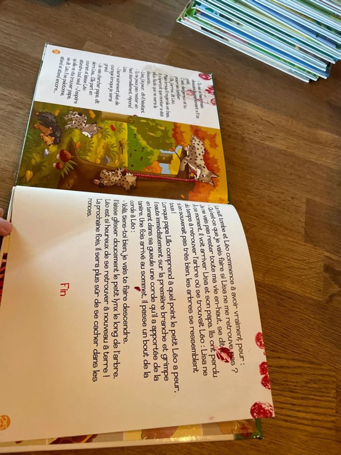 Livre Altaya Le monde des animaux Sauvages Animaux de la forêt Le Lynx - photo numéro 9