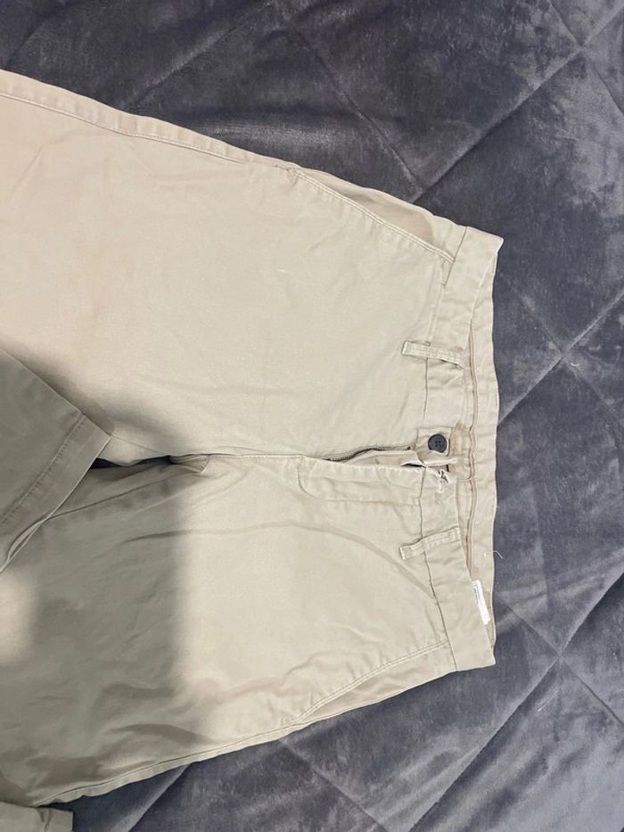 Chino - photo numéro 2
