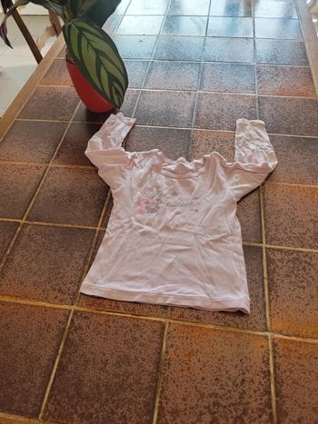 Tee shirt manches longues jolie princesse