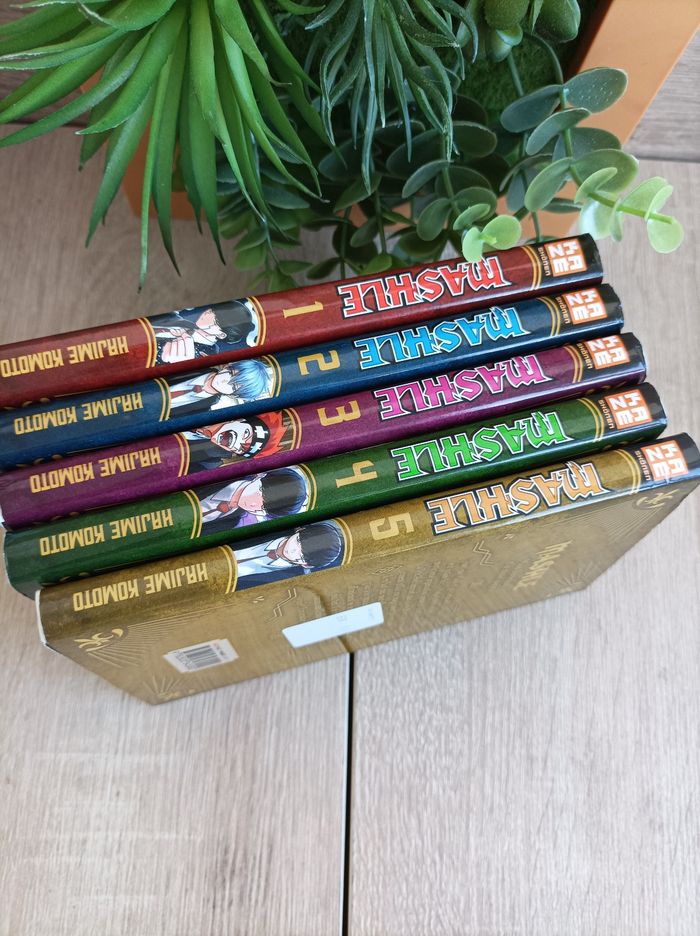 Lot 5 mangas Mashle numéro 1 à 5 kaze - photo numéro 2