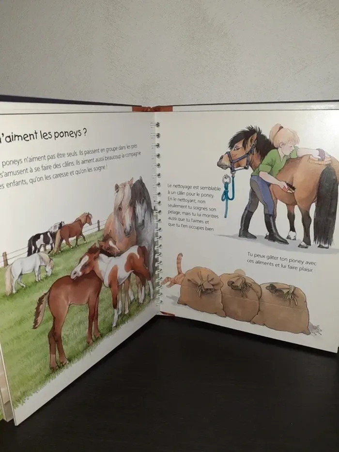 Les p'tits juniors Les poneys - photo numéro 3