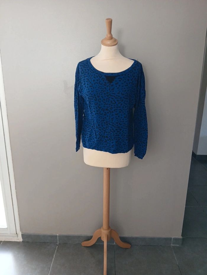 pull bleu