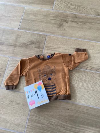 Pull Terre de Marins 12 mois