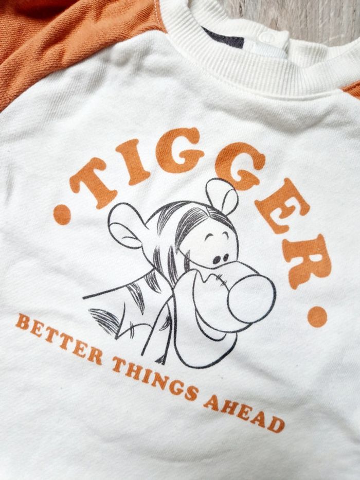 Pull tigrou