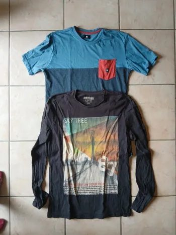 Lot de 2 tee-shirts