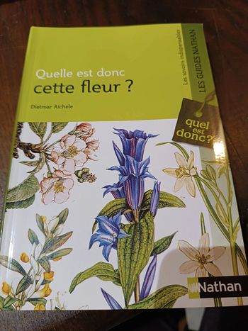 Quelle est donc cette fleur ?