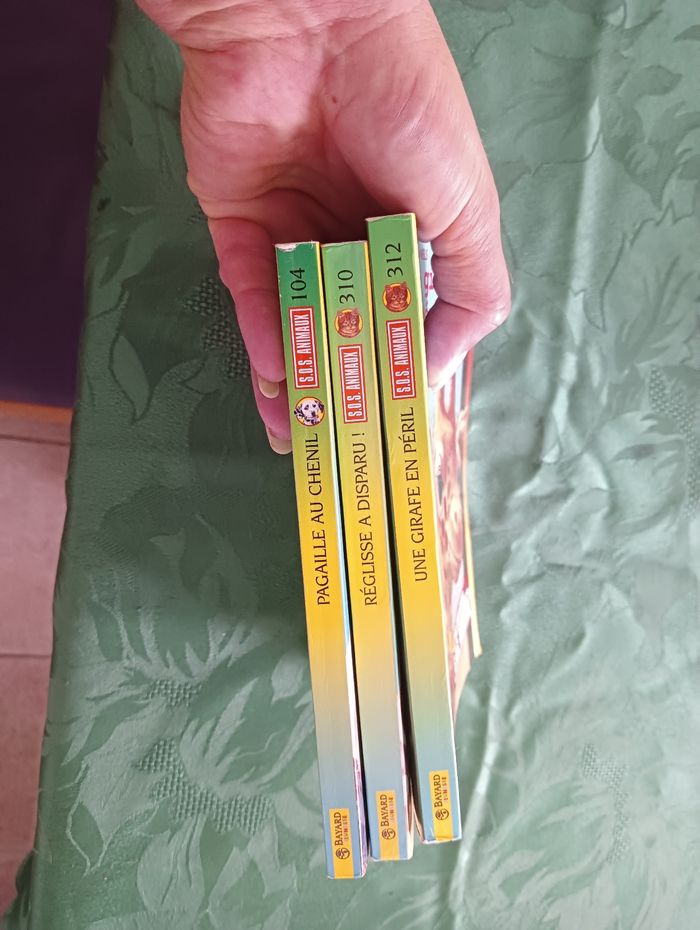 Lot de 3 livres Bayard poche - photo numéro 7