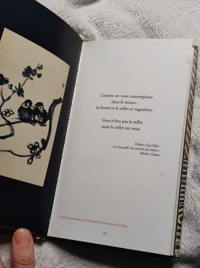 Paroles zen - photo numéro 2