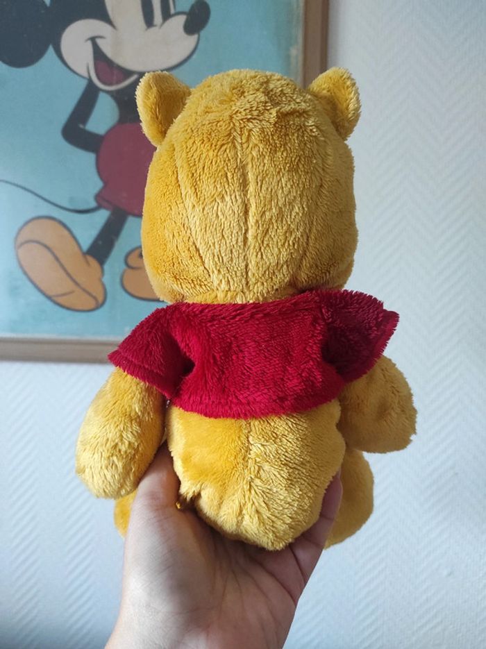 Petite Peluche disney winnie the pooh - photo numéro 4