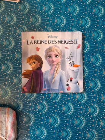 Livre la reine des neige