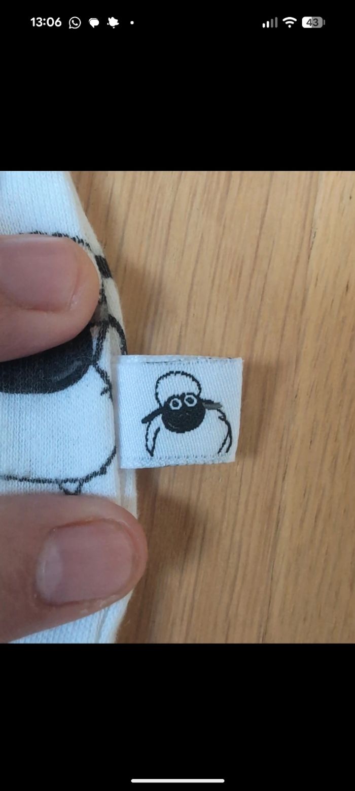 Body Ireland - photo numéro 2