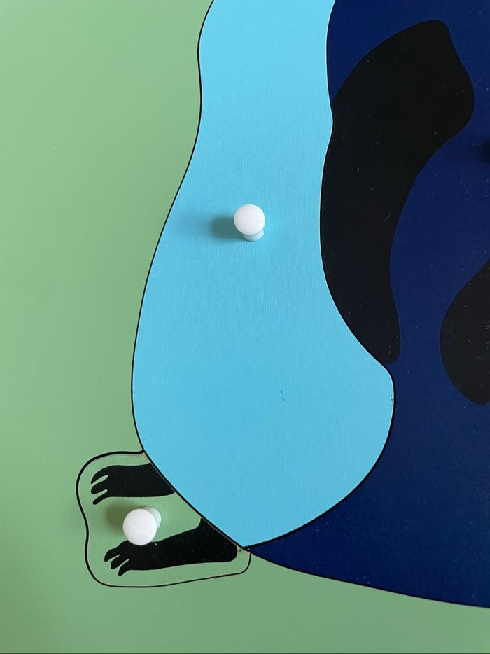 Puzzle Zoologie Montessori : le manchot - photo numéro 5