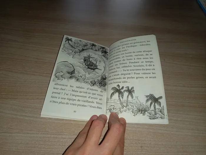 Livre Trésor chez les pirates - photo numéro 3