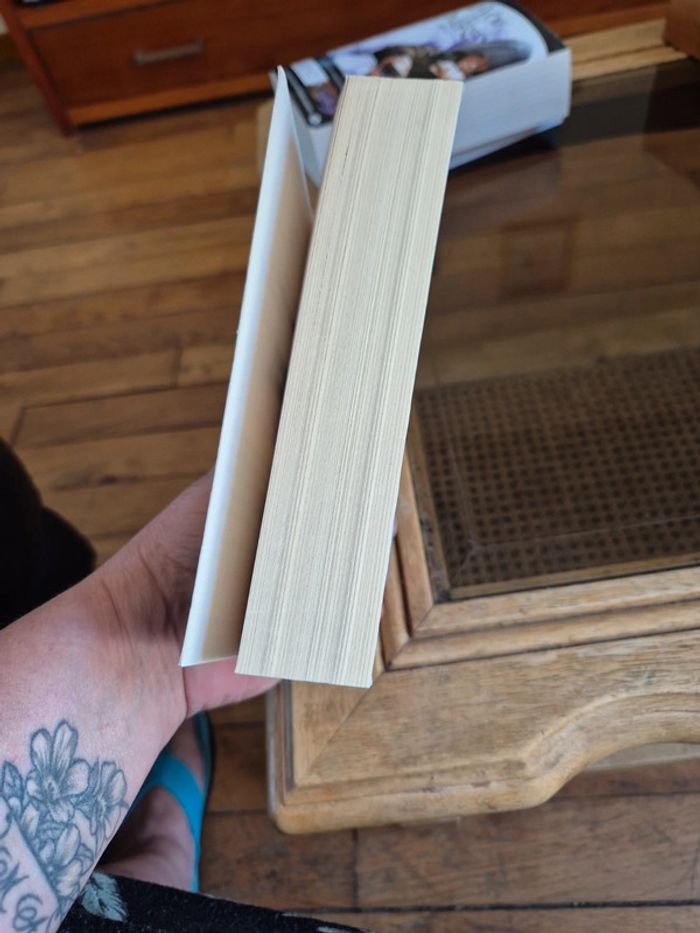 livre chasseuse de vampire de Nalini Singh - photo numéro 4
