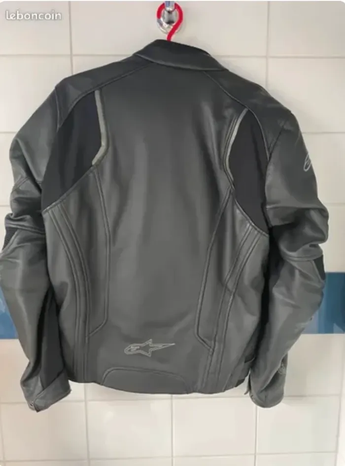 Blouson de moto cuir Alpinestar - photo numéro 2