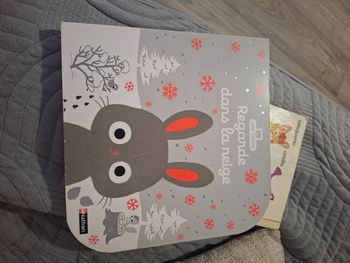 Livre regarde dans la neige