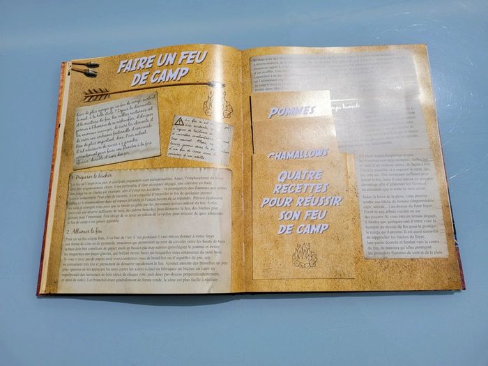 Superbe livre animé Le Boys' Book, tout ce qu'ils adorent de 7 à 77 ans ! 41 - photo numéro 12