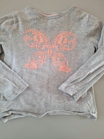 Pull papillon 5 ans