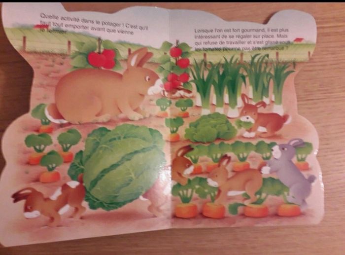 Livre mon petit lapin - photo numéro 2