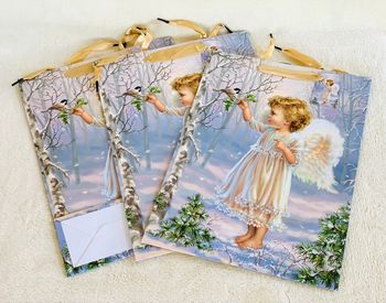 Lot 3 grandes pochettes Divin enfant Vitrine Magique