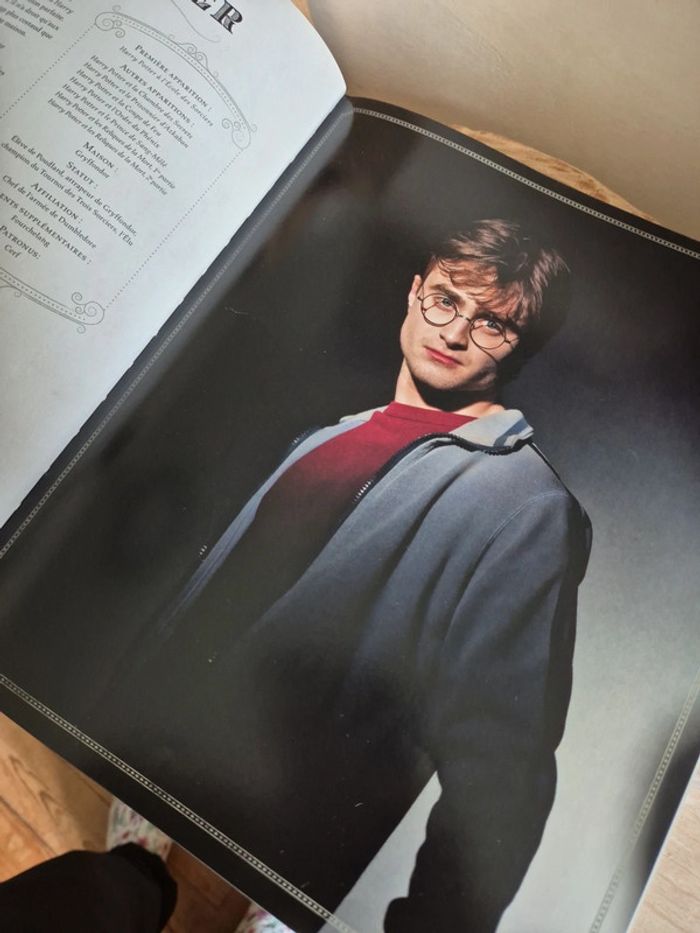 Livre Harry Potter la galerie des portraits - photo numéro 8