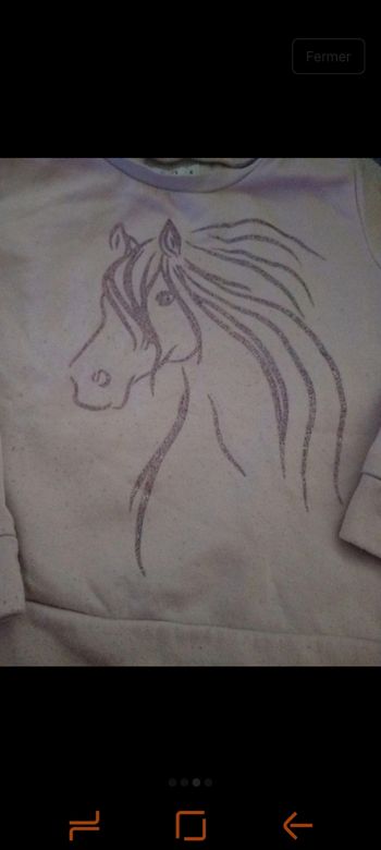 Pull licorne