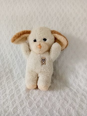 Peluche chien Boulgom 