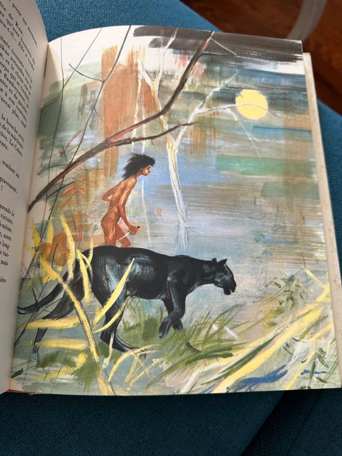 1968 - Livre ancien Le second livre de la Jungle Rudyard Kipling Paul Durand Librairie Delagrave - photo numéro 5