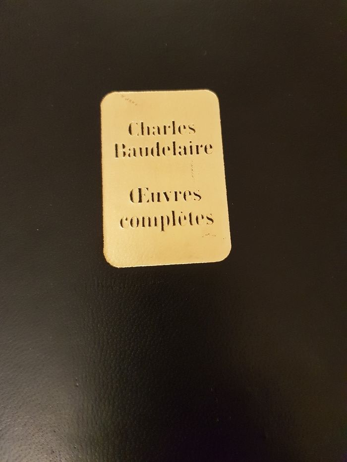 Charles  Baudelaire - photo numéro 7