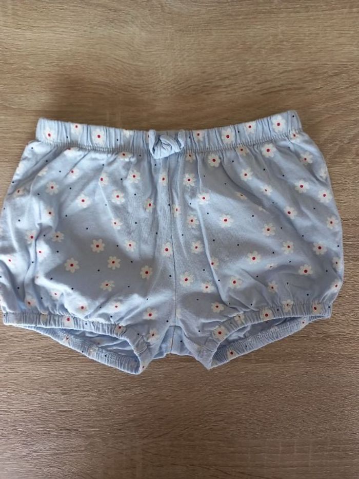 Short fin 24 mois