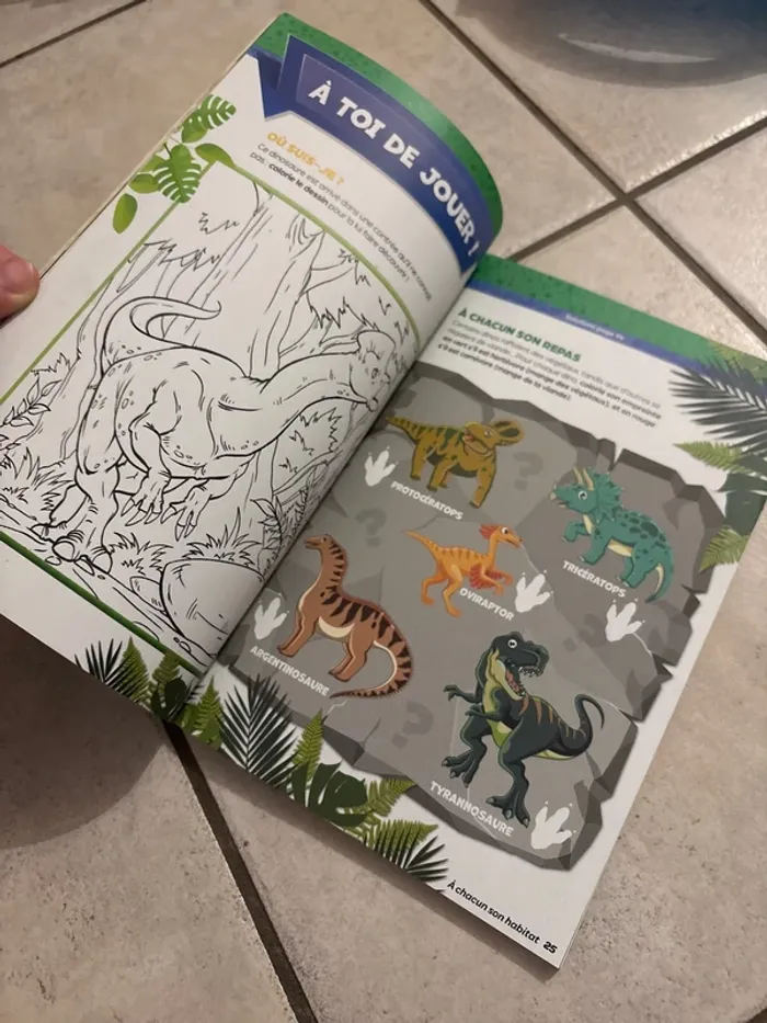 Livres infos activités dinosaures - photo numéro 4