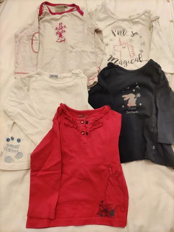 Lot t shirt manches longues 12 mois