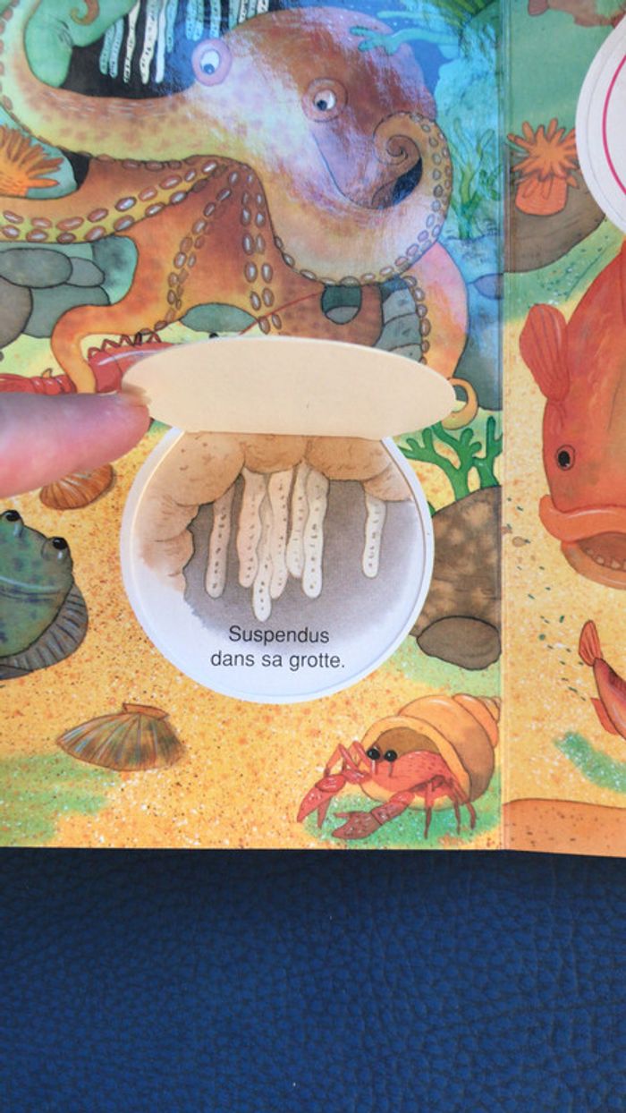 Livre les petits secrets de la mer - photo numéro 3