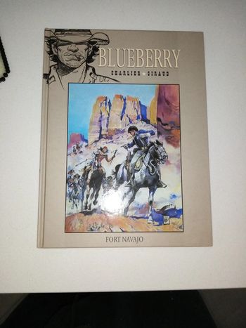 Blueberry fort navajo