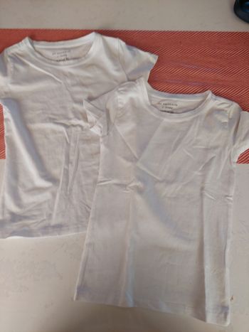 Lot de 2 tee shirt 4/6ans