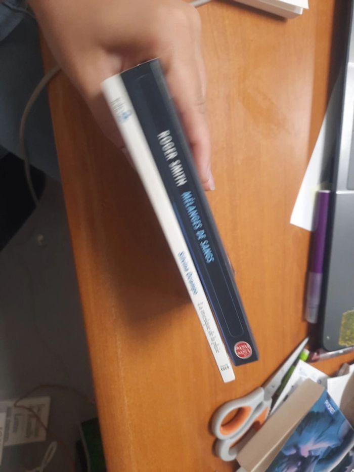 Lot 2 livres folio de poche - photo numéro 2