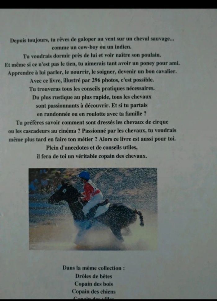 Copain des chevaux - photo numéro 2