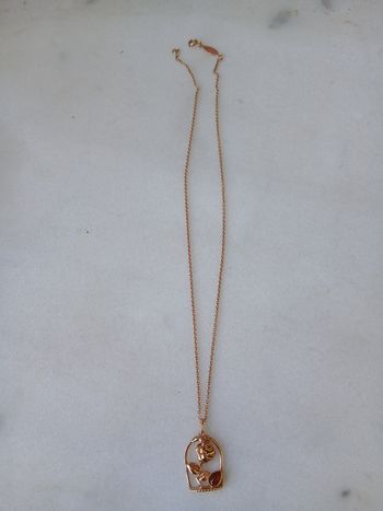 Collier la Belle et la Bête