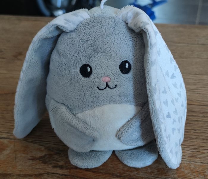 My hummy lapin - photo numéro 2
