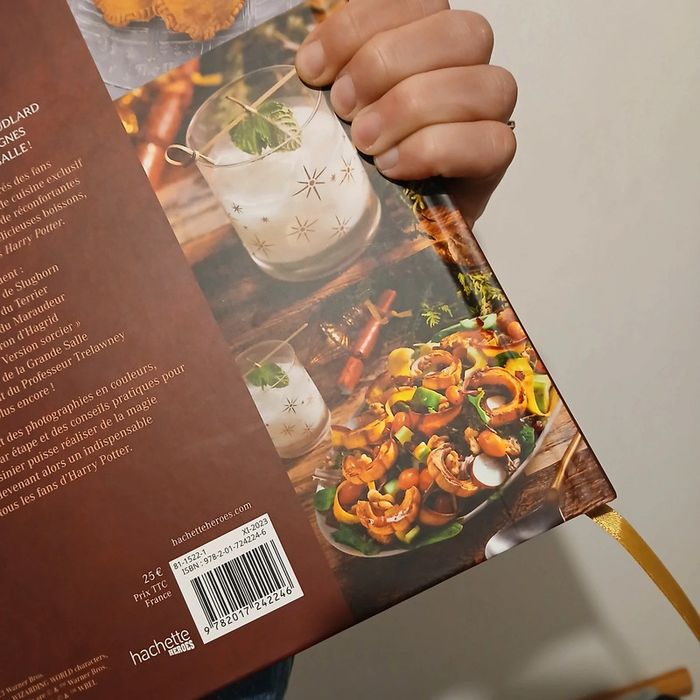 Livre de recette Harry Potter - photo numéro 5