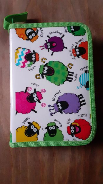 Trousse à crayons Sheep Wacky Woollies Ireland