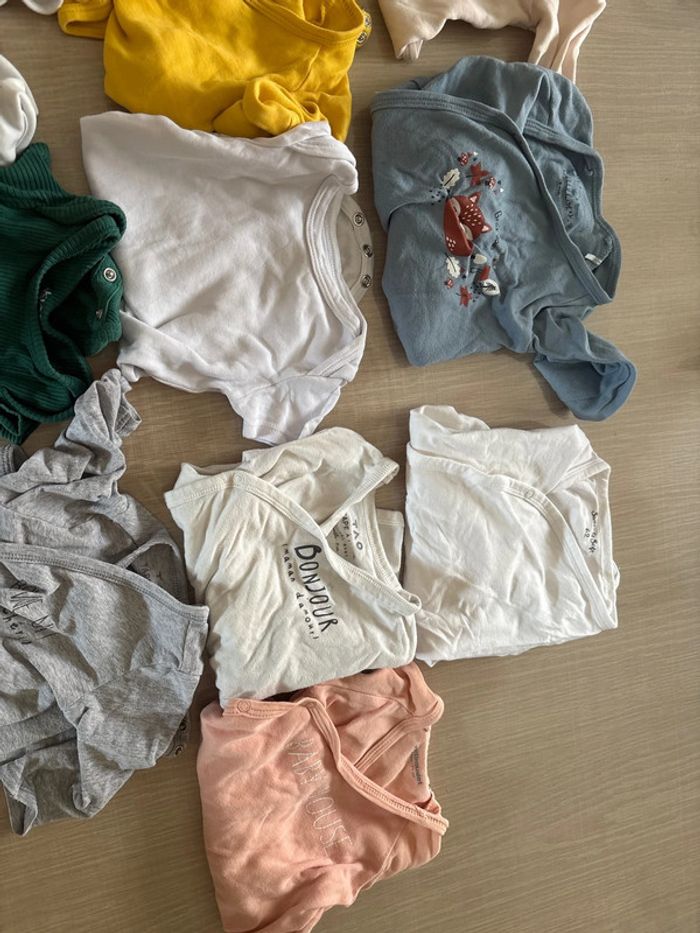 Lot de 14 bodies 9 mois - photo numéro 3