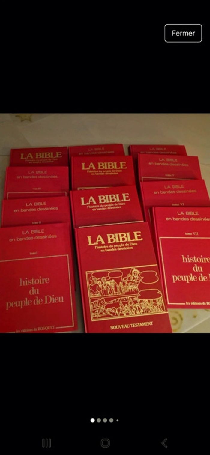 Histoire du peuple de dieu en BD. - photo numéro 19