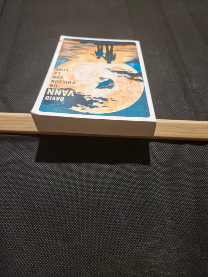 Un poisson sur la lune - David Vann - photo numéro 4