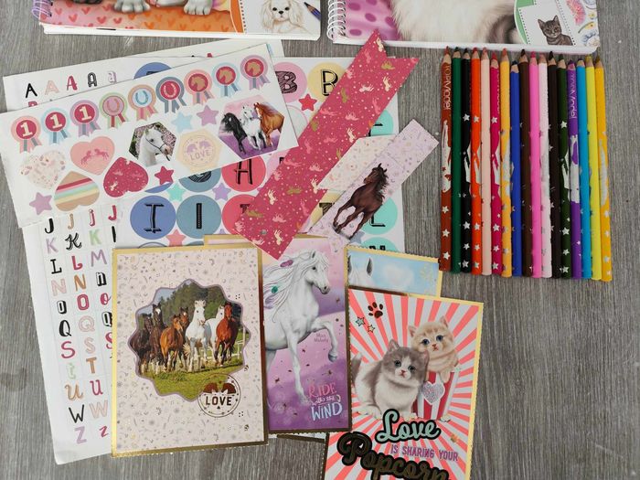 Livres de coloriage Top Model + crayons + cadeaux , très bon état - photo numéro 6