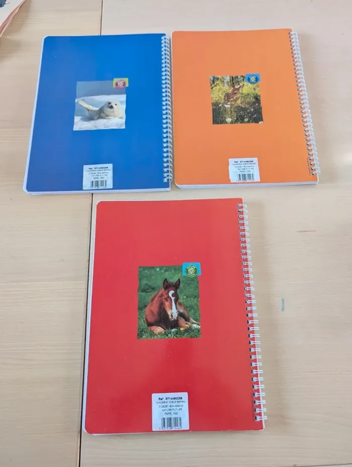 Lot de 3 cahiers 21 x 29,7 Petits carreaux neuf - photo numéro 2