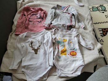 Lot de 4 bodies manches longues 6 mois garçon