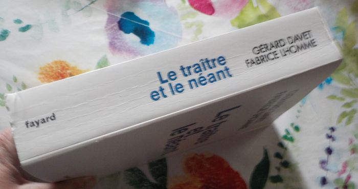 LE TRAITRE ET LE NEANT (MACRON) par G. DAVET e F. LHOMME Ed. Fayard - photo numéro 4