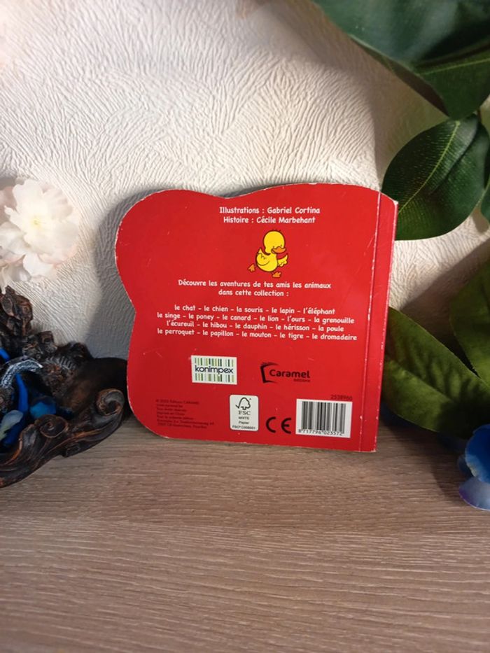 Pinpon le canard 🦆 - photo numéro 3